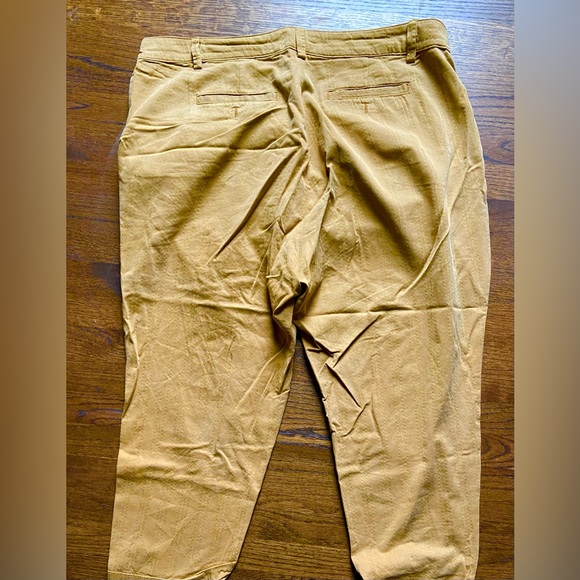 NWOT Anthropologie plus pants - Picture 4 of 11